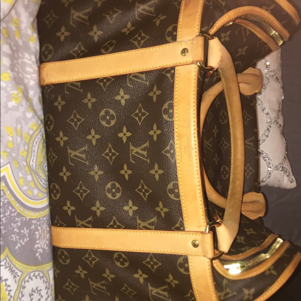Louis Vuitton dog carrier 50 bag